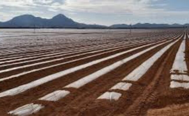 Denuncian la ocultación de un informe sobre metales pesados en Cartagena