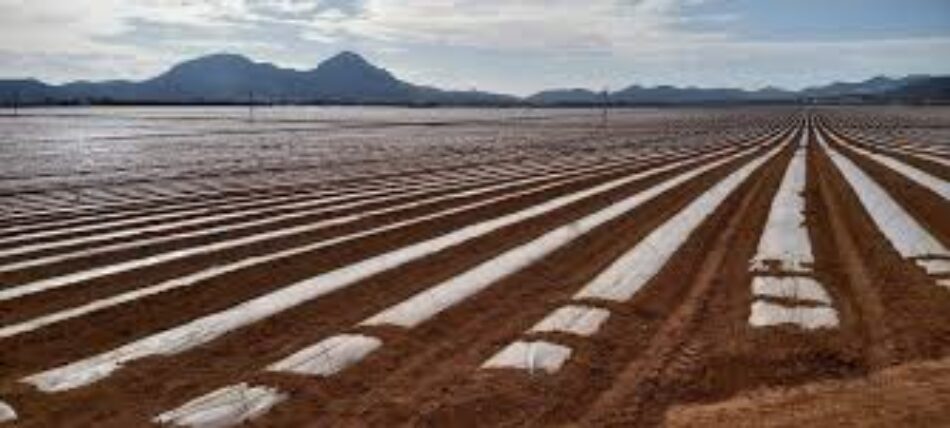 Denuncian la ocultación de un informe sobre metales pesados en Cartagena