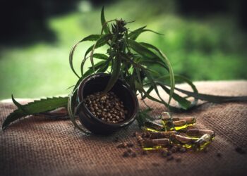 Beneficios del CBD para el dolor crónico, ¿qué dice la ciencia sobre las alternativas naturales?