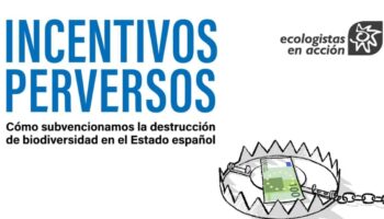 «El Estado español invierte cuatro veces más en destruir la naturaleza que en cuidarla»
