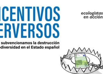 «El Estado español invierte cuatro veces más en destruir la naturaleza que en cuidarla»
