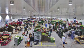 Compromís: «Un año después del decreto ley contra la Huerta, PP y Vox confirman que su único plan es el del urbanismo depredador y la asfixia al labrador»