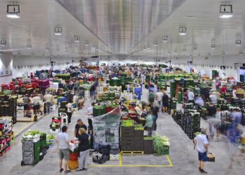 Compromís: «Un año después del decreto ley contra la Huerta, PP y Vox confirman que su único plan es el del urbanismo depredador y la asfixia al labrador»