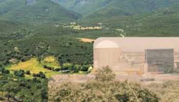 Denuncian una visita sesgada del Parlamento Europeo a Almaraz y Cabañeros