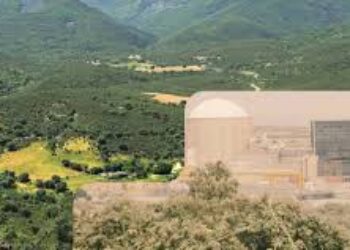 Denuncian una visita sesgada del Parlamento Europeo a Almaraz y Cabañeros