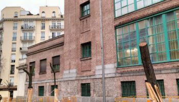 Denuncian destrucción de arbolado en las obras de la estación pasante de Atocha