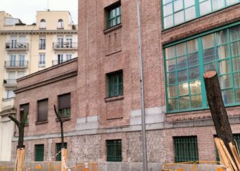Denuncian destrucción de arbolado en las obras de la estación pasante de Atocha