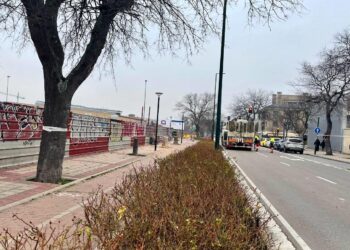 Más de 600 árboles talados en 2025: Valladolid Toma la Palabra pide transparencia en la comunicación y reposiciones en los mismos barrios