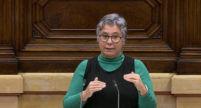 El Parlament situa l’habitatge com a pilar central de l’estat del benestar a iniciativa dels Comuns