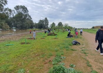 Gran acogida de la reforestación y limpieza en las lagunas de El Sapo en la ciudad de Sevilla