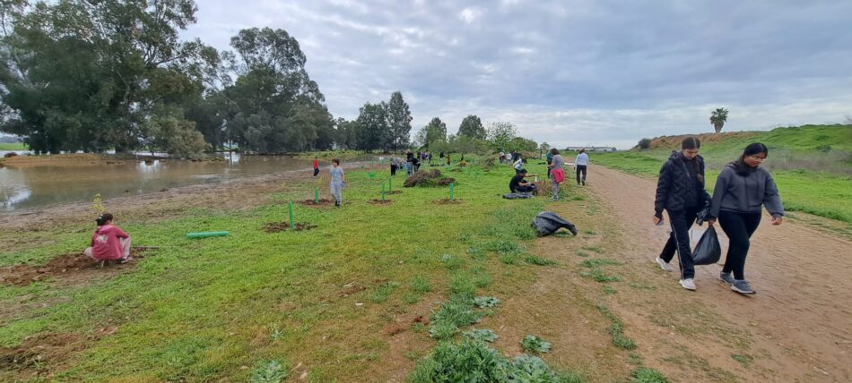 Gran acogida de la reforestación y limpieza en las lagunas de El Sapo en la ciudad de Sevilla