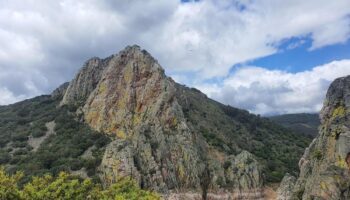 Piden la aprobación de los planes de recuperación y conservación de especies amenazadas en el Día Mundial de la Vida Silvestre en Extremadura