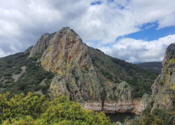 Piden la aprobación de los planes de recuperación y conservación de especies amenazadas en el Día Mundial de la Vida Silvestre en Extremadura