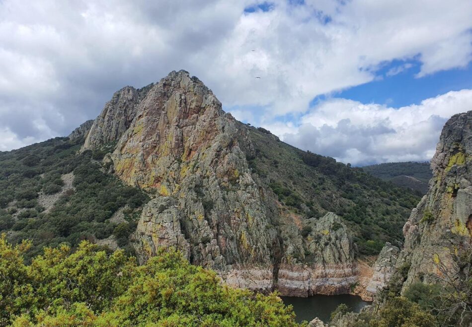 Piden la aprobación de los planes de recuperación y conservación de especies amenazadas en el Día Mundial de la Vida Silvestre en Extremadura