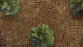 El Partido Verde y el grupo parlamentario plurinacional Sumar llevan al Congreso el estreno en Madrid de “Jornaleros: el mal patrón”