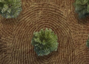 El Partido Verde y el grupo parlamentario plurinacional Sumar llevan al Congreso el estreno en Madrid de “Jornaleros: el mal patrón”