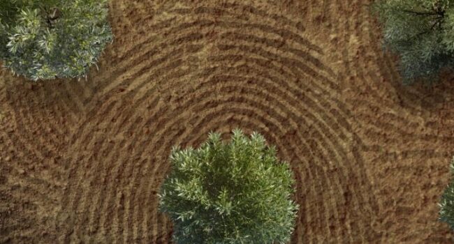 El Partido Verde y el grupo parlamentario plurinacional Sumar llevan al Congreso el estreno en Madrid de “Jornaleros: el mal patrón”