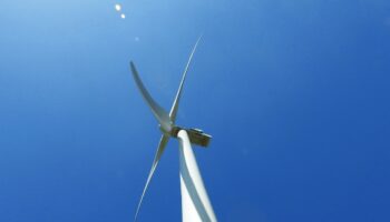 Salvemos Cabana alerta del impacto negativo del parque eólico Rego do Lobo, que reafirma el choque entre especulación energética y biodiversidad en la Costa da Morte