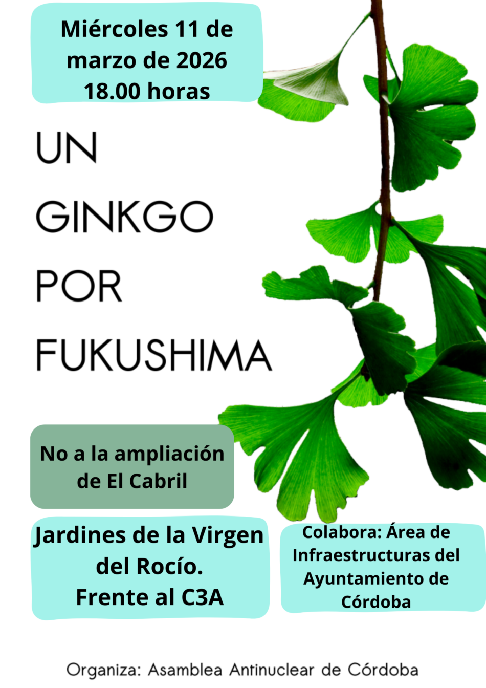 Asamblea Antinuclear de Córdoba convoca hoy 11 de marzo concentración en conmemoración por el desastre de Fukushima, con la plantación de un ginkgo 