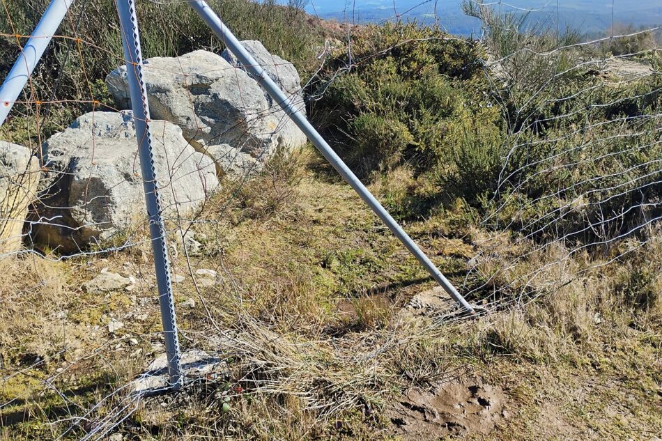 Salvemos Cabana alerta de la vandalización del cierre perimetral de las balsas del Monte Neme y reabre el debate sobre la falta de seguridad en la antigua explotación minera