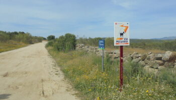 Colectivos ecologistas y vecinales piden al Ministerio que frene la desprotección de las vías pecuarias de Madrid