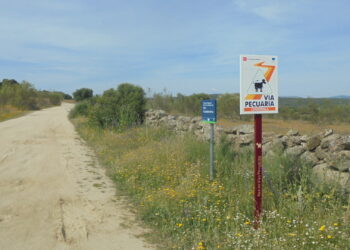 Colectivos ecologistas y vecinales piden al Ministerio que frene la desprotección de las vías pecuarias de Madrid
