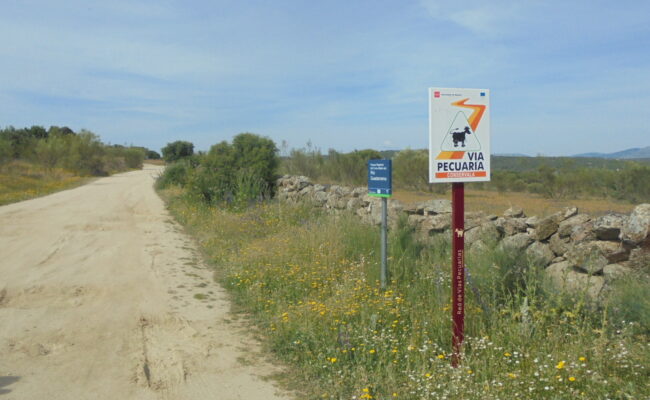 Colectivos ecologistas y vecinales piden al Ministerio que frene la desprotección de las vías pecuarias de Madrid