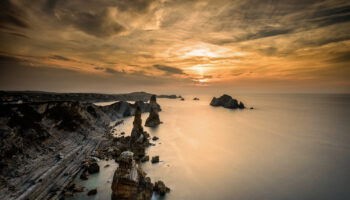 Nace la Alianza por la Restauración de la Naturaleza en España para situar la recuperación ecológica en el centro de la agenda pública