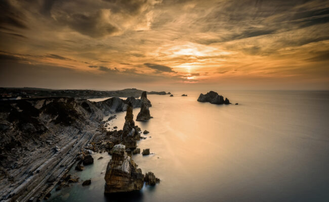 Nace la Alianza por la Restauración de la Naturaleza en España para situar la recuperación ecológica en el centro de la agenda pública