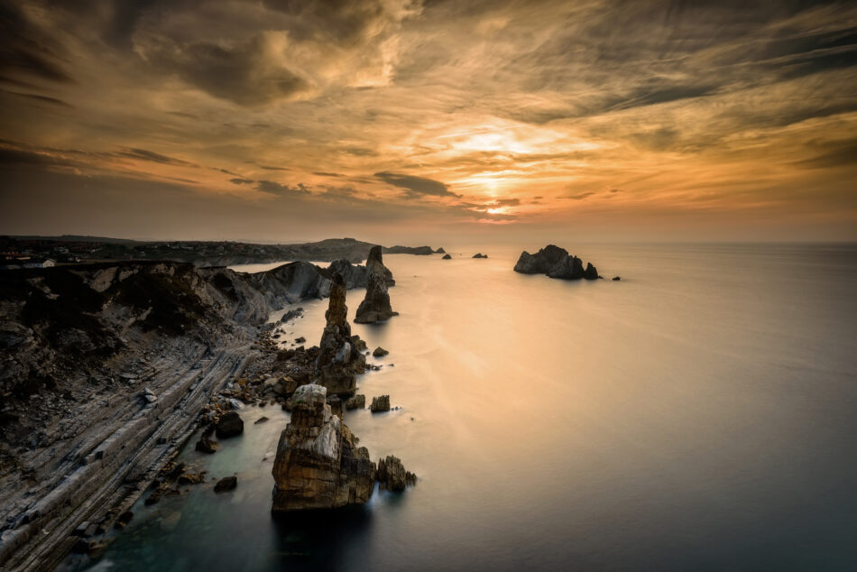 Nace la Alianza por la Restauración de la Naturaleza en España para situar la recuperación ecológica en el centro de la agenda pública