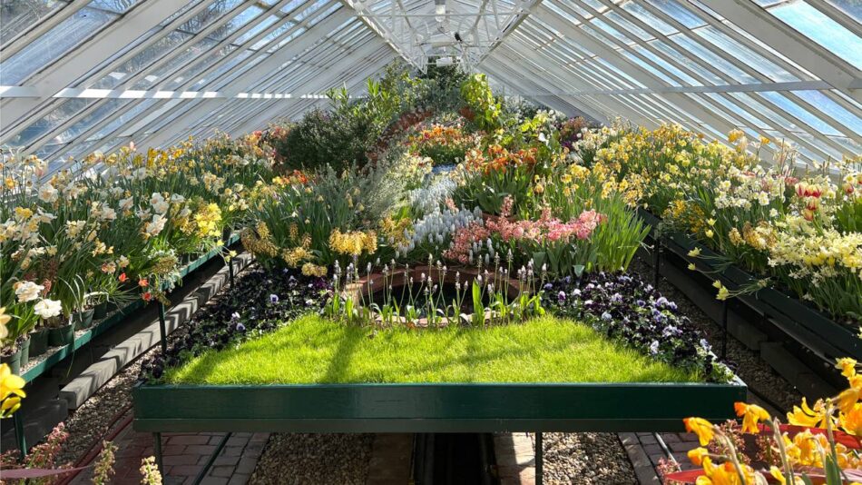 El ADN ‘oculto’ de las plantas revela las instrucciones maestras de su evolución durante 300 millones de años