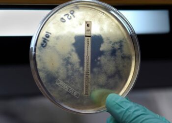 Meningitis B: qué saber tras el brote en Reino Unido y la situación en España