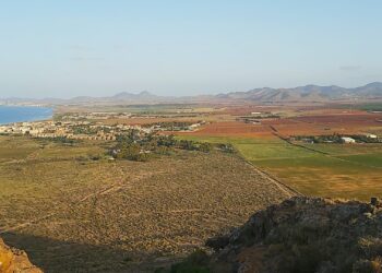Alerta por la posible contaminación por metales pesados en productos agrícolas de Cartagena