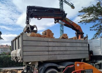 Cantabristas denuncia la tala de arbolado del centro de Somo, ubicado cerca de una parcela donde van a construir una urbanización
