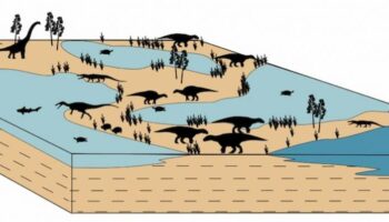 Teruel hace 127 millones de años: tierra de dinosaurios, tiburones y otros vertebrados del Cretácico