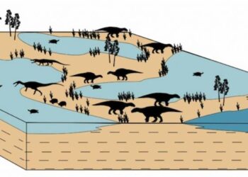Teruel hace 127 millones de años: tierra de dinosaurios, tiburones y otros vertebrados del Cretácico