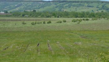 Coordinadora Ecoloxista d’Asturies: «Nos preocupa la nueva mina de Salas que amenaza la turbera de la Molina»