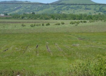 Coordinadora Ecoloxista d’Asturies: «Nos preocupa la nueva mina de Salas que amenaza la turbera de la Molina»