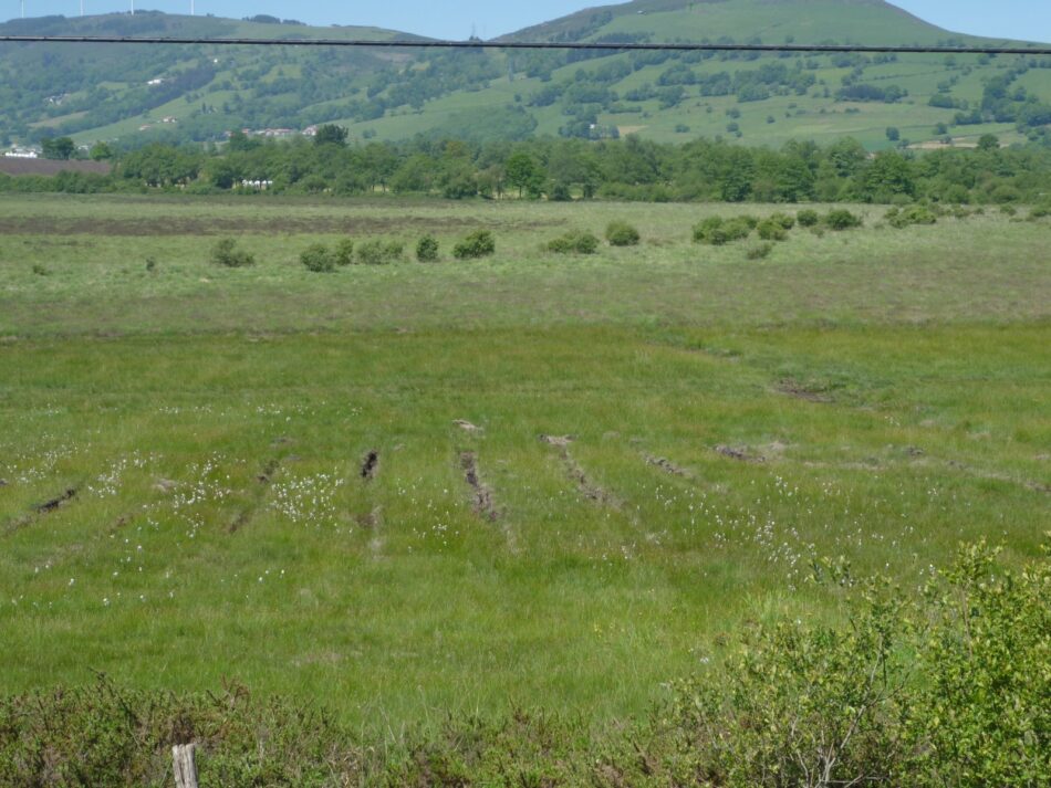 Coordinadora Ecoloxista d’Asturies: «Nos preocupa la nueva mina de Salas que amenaza la turbera de la Molina»