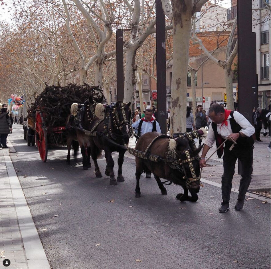 Vilassar de Mar abre un periodo de reflexión sobre los Tres Tombs tras la petición de PACMA