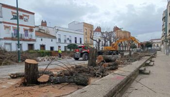 Ecologistas en Acción de Extremadura: «A desarbolar la ciudad» en Zafra (Badajoz)