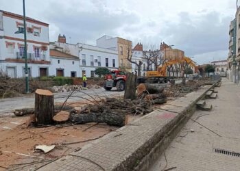 Ecologistas en Acción de Extremadura: «A desarbolar la ciudad» en Zafra (Badajoz)