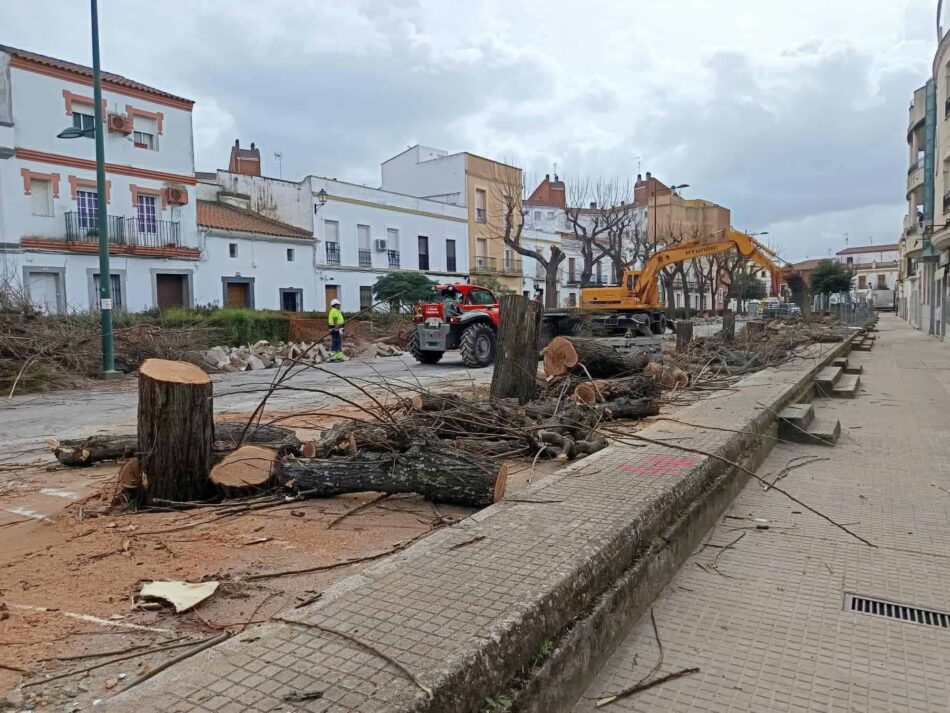 Ecologistas en Acción de Extremadura: «A desarbolar la ciudad» en Zafra (Badajoz)