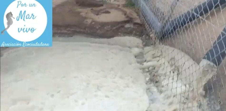 La Asociación Ecociudadana Por Un Mar Vivo y el Colectivo SOS Mar Menor denuncian presunto vertido ilegal de agua residual y purines