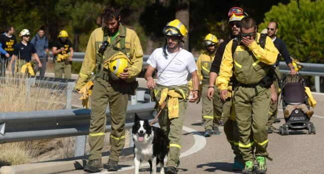 El Tribunal Supremo corrige el sistema de cálculo salarial en TRAGSA tras la demanda impulsada por CGT, UGT y CSIF