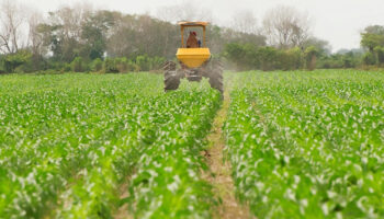 El Gobierno aprueba ayudas para el gasóleo agrícola, la compra de fertilizantes y una compensación para los buques pesqueros por el incremento de costes