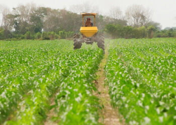El Gobierno aprueba ayudas para el gasóleo agrícola, la compra de fertilizantes y una compensación para los buques pesqueros por el incremento de costes