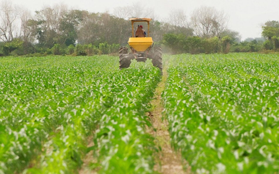 El Gobierno aprueba ayudas para el gasóleo agrícola, la compra de fertilizantes y una compensación para los buques pesqueros por el incremento de costes
