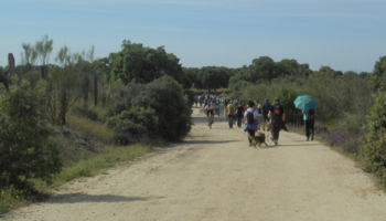 La Comunidad de Madrid rectifica y mantendrá la clasificación de las vías pecuarias como suelo protegido
