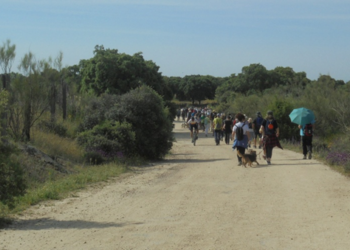 La Comunidad de Madrid rectifica y mantendrá la clasificación de las vías pecuarias como suelo protegido